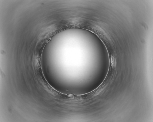 X0000091241107200708091430