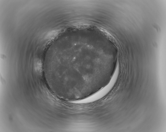 X0000091241108200708091430