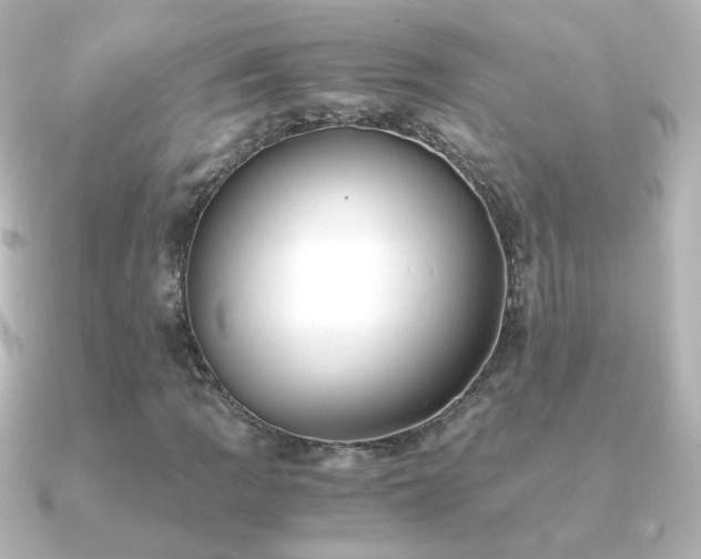 X0000091241109200708091430