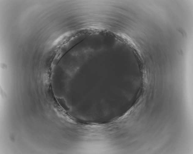 X0000091241110200708091430