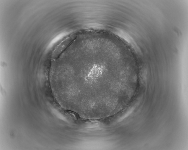 X0000091241112200708091430
