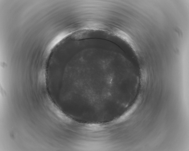 X0000091241114200708091430