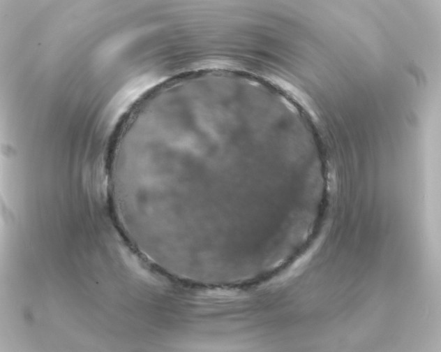 X0000091241117200708091430