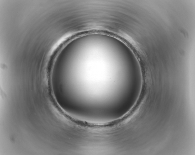 X0000091241118200708091430