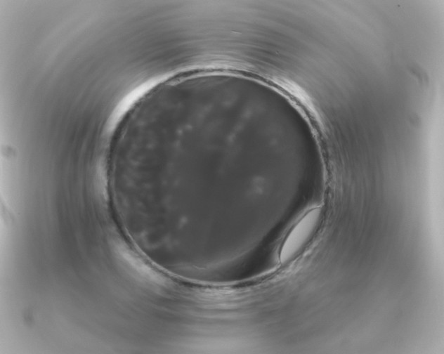 X0000091241120200708091430