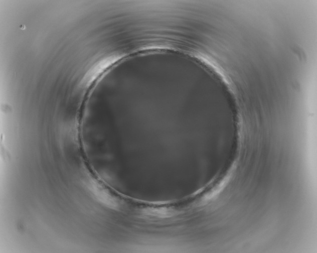 X0000091241121200708091430