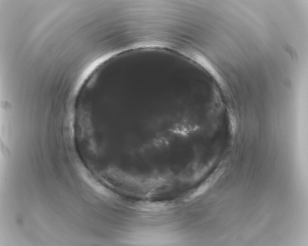 X0000091241124200708091430