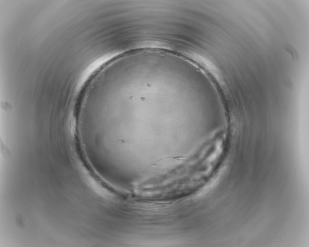 X0000091241125200708091430