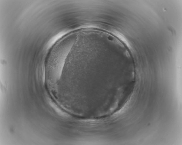 X0000091241127200708091430