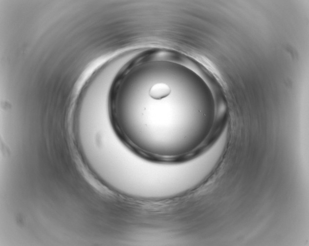 X0000091241128200708091430