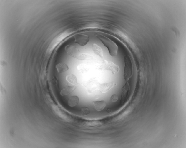 X0000091241129200708091430