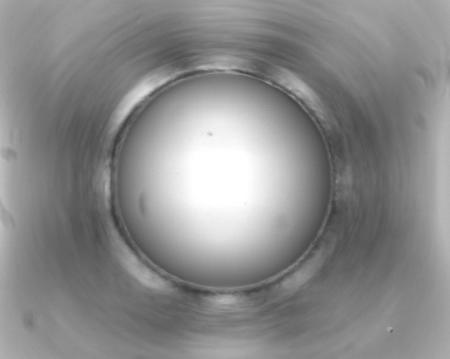X0000091241130200708091431