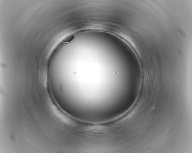 X0000091241131200708091431