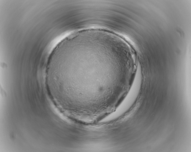 X0000091241134200708091431