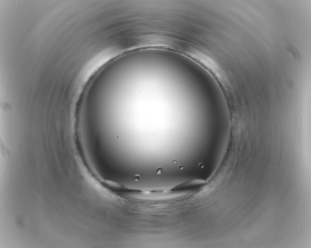 X0000091241135200708091431