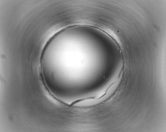 X0000091241136200708091431