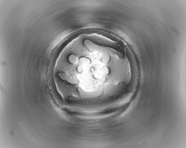 X0000091241137200708091431