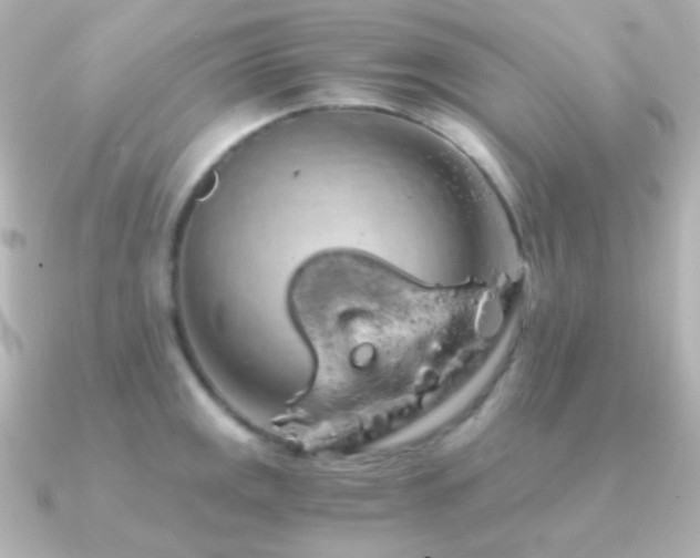 X0000091241141200708091431