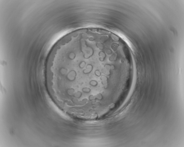 X0000091241142200708091431