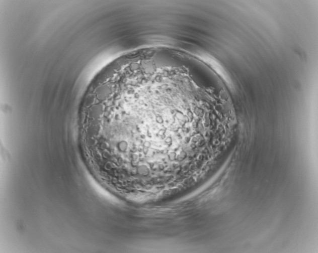 X0000091241143200708091431