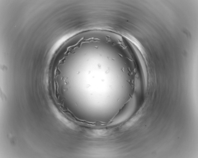 X0000091241144200708091431