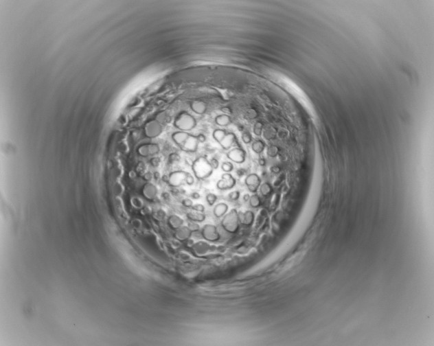 X0000091241146200708091431