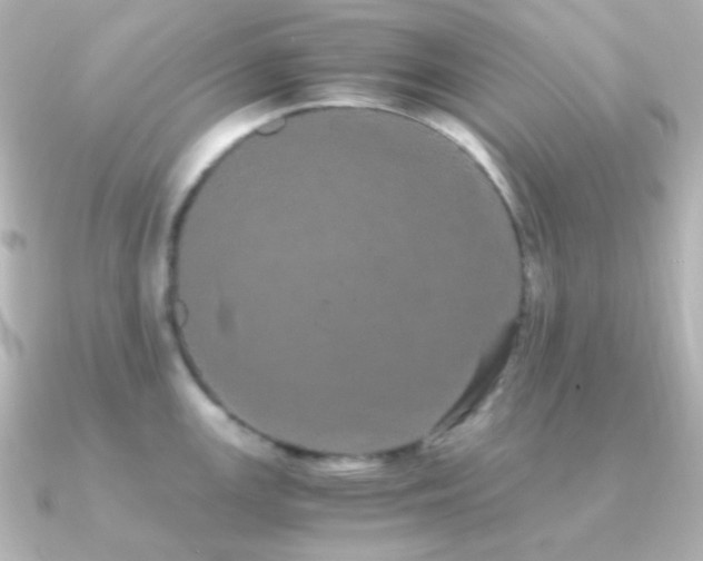 X0000091241147200708091431