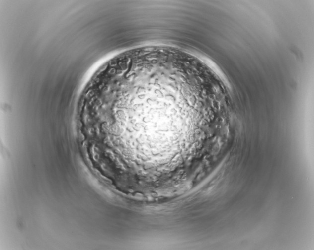 X0000091241148200708091431