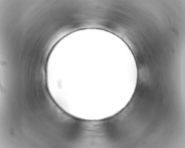 X0000091241150200708091431