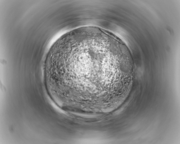 X0000091241151200708091431