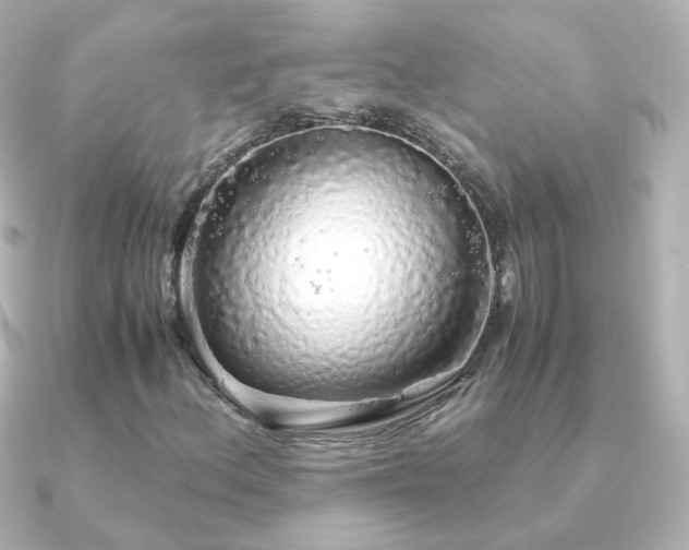 X0000091241156200708091430