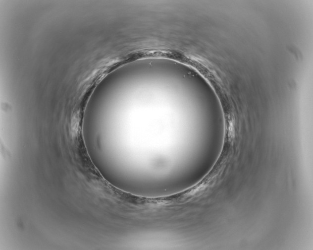 X0000091241157200708091430