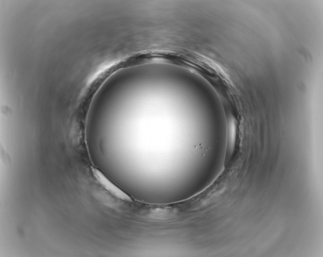 X0000091241160200708091430