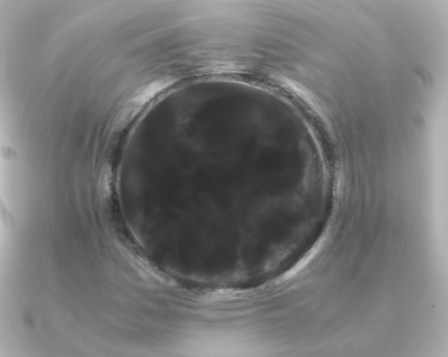 X0000091241161200708091430