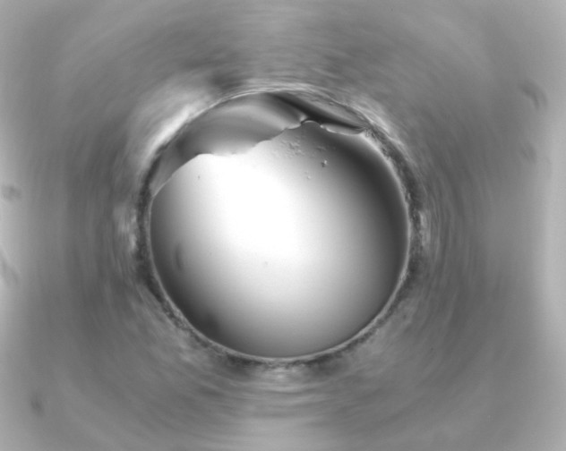X0000091241165200708091430