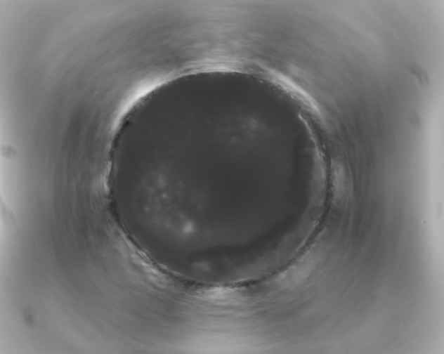 X0000091241166200708091430