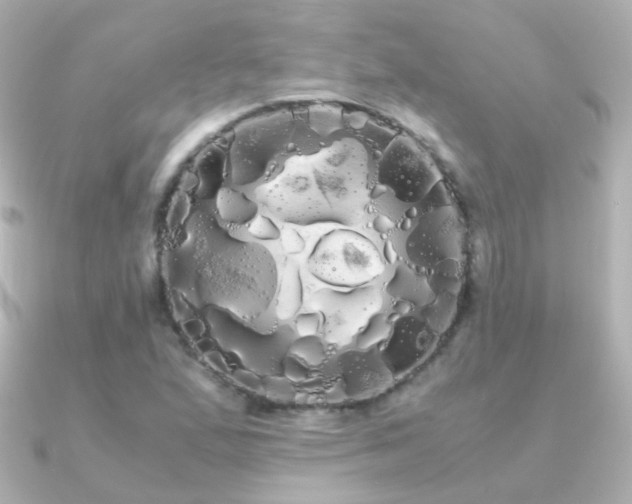 X0000091241167200708091430