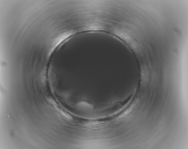 X0000091241170200708091430