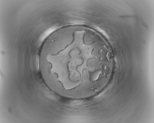 X0000091241171200708091430