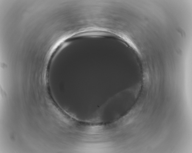 X0000091241173200708091430