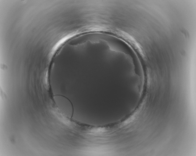 X0000091241174200708091430
