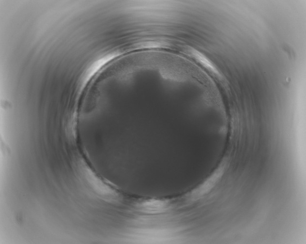 X0000091241178200708091430