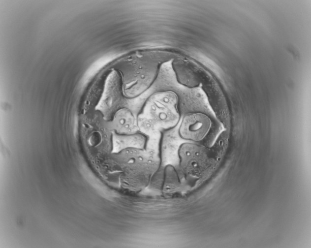 X0000091241179200708091430