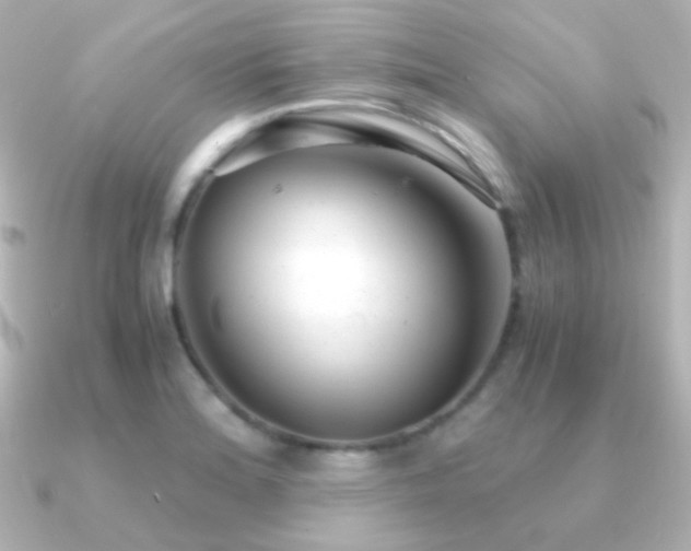 X0000091241180200708091430