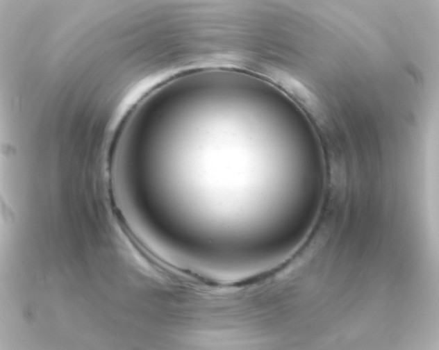 X0000091241184200708091430