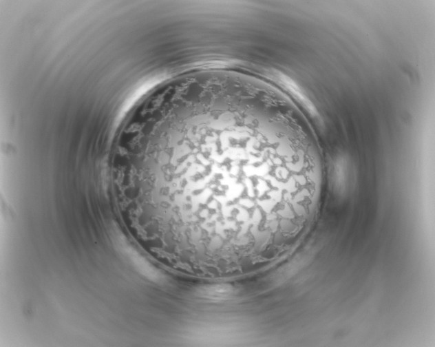 X0000091241186200708091430