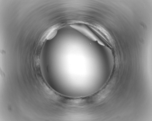 X0000091241193200708091430