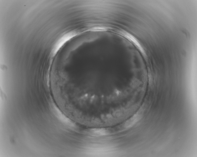 X0000091241194200708091430