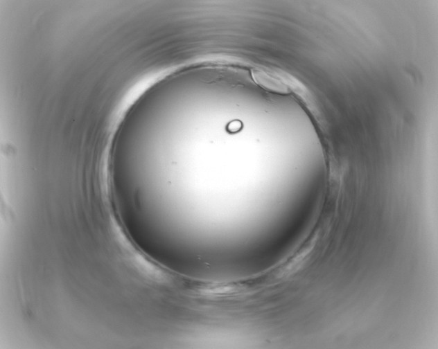 X0000091241199200708091430