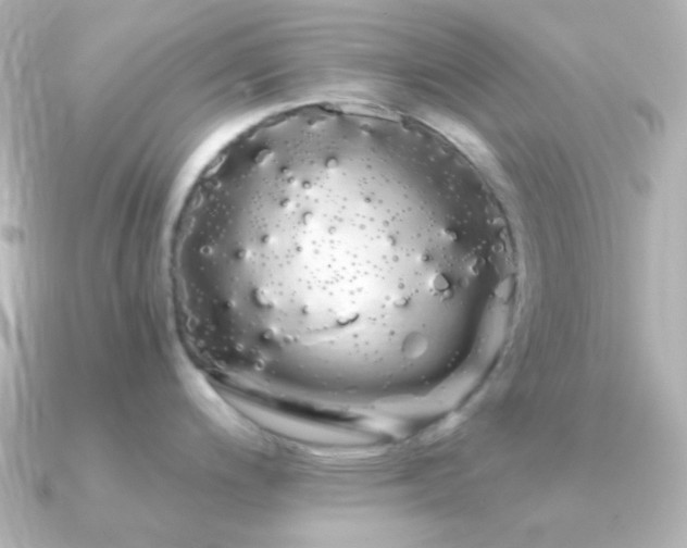 X0000091241200200708091430